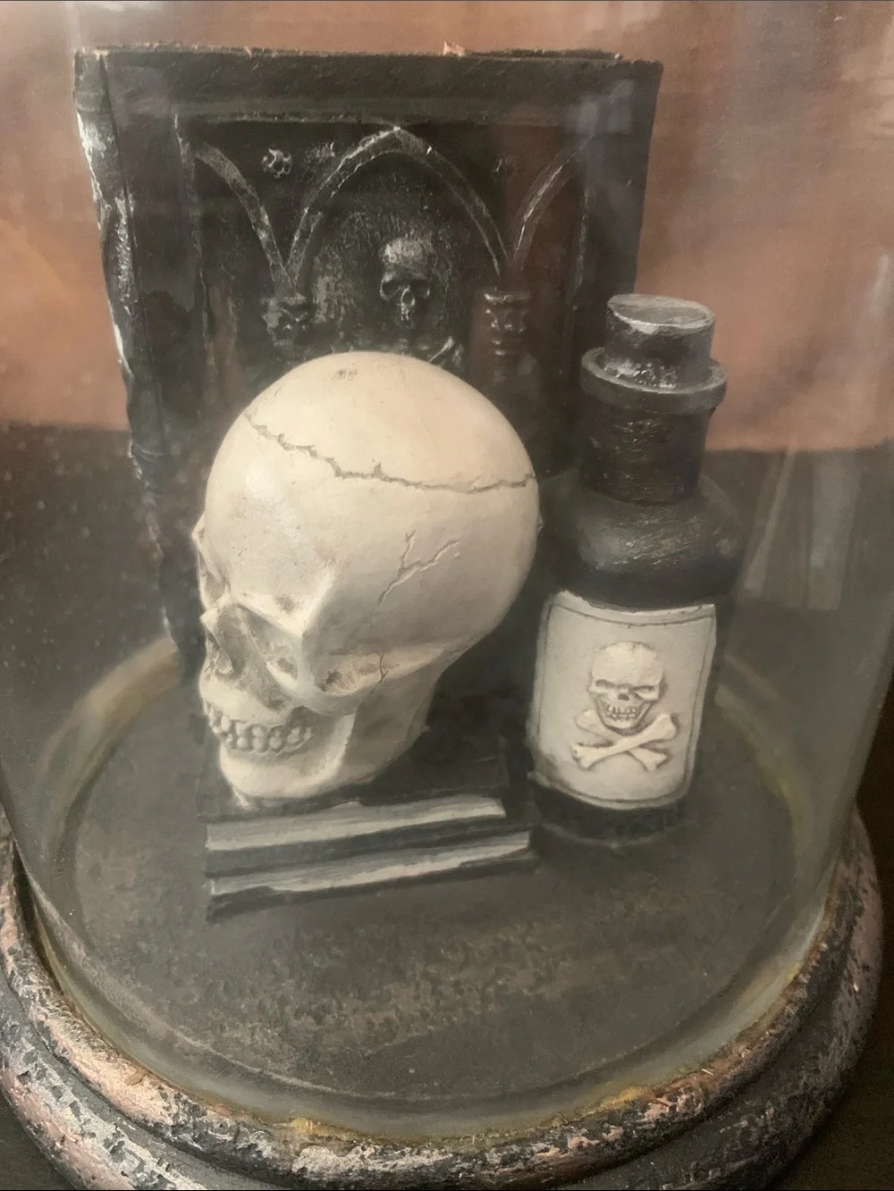 Gothic Raven Dome Decoration